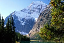 高芙赛后谦逊发言登热搜，休斯顿火箭爆冷山东泰山引发热议的简单介绍